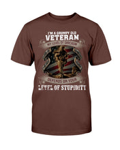 Load image into Gallery viewer, I'm A Grumpy Old Veteran My Level Of Sarcasm Depends On Your Level Of Stupidity T-Shirt