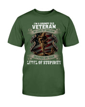 Load image into Gallery viewer, I'm A Grumpy Old Veteran My Level Of Sarcasm Depends On Your Level Of Stupidity T-Shirt
