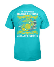 Load image into Gallery viewer, I'm A Grumpy Old Marine Veteran My Level Of Sarcasm Depends On Your Level Of Stupidity T-shirt
